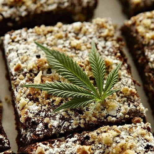 Raw Hemp Superfood Energy Protein Bars