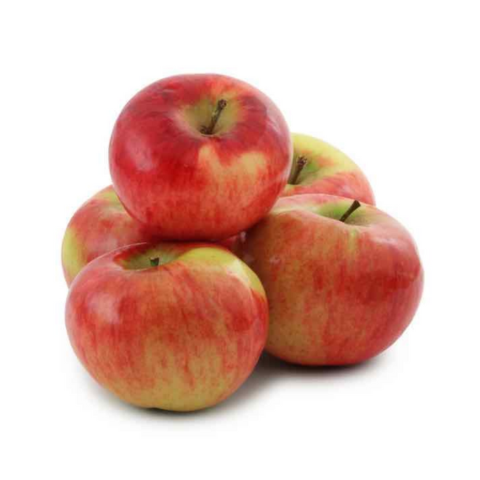 Organic Apple Cortland 2lb Bagged