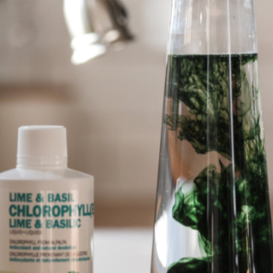Chlorophyll: Essential to Life – Origin & Benefits
