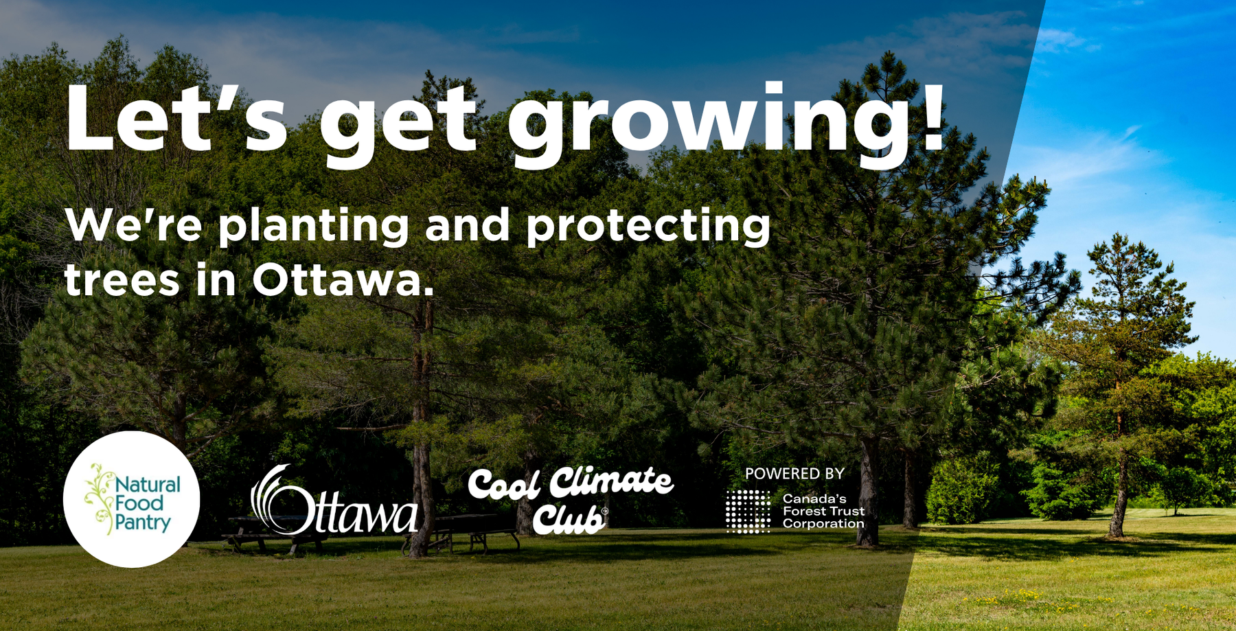 Let’s Get Growing: Our Partnership with Canada’s Forest Trust