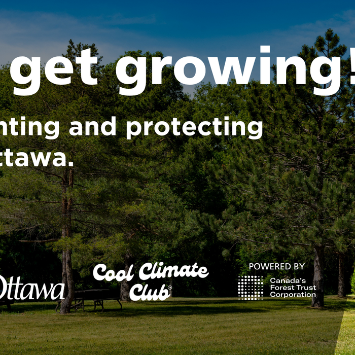 Let’s Get Growing: Our Partnership with Canada’s Forest Trust