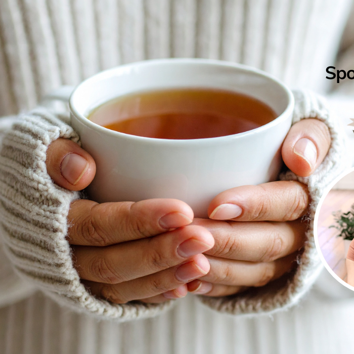 Webinar Jan 13:  A New Year Reset: Cleanse To Kickstart Your 2026 Health Goals