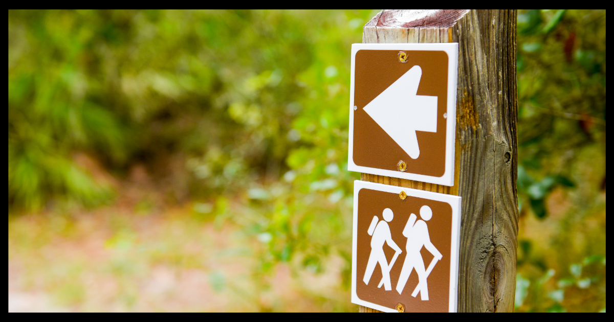 Nature as Detox Medicine: How Time Outdoors Supports Body, Mind & Well-Being