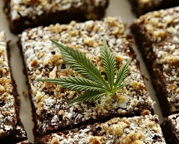 Raw Hemp Superfood Energy Protein Bars