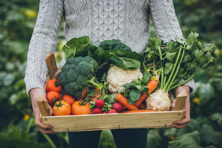 Optimize Your Immunity through Nutrition with Andrea Bartels