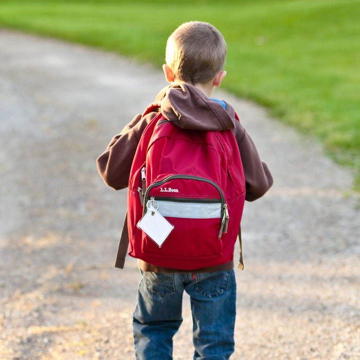 Aug 25 Webinar:  Back to School - Stress, Anxiety and Immunity
