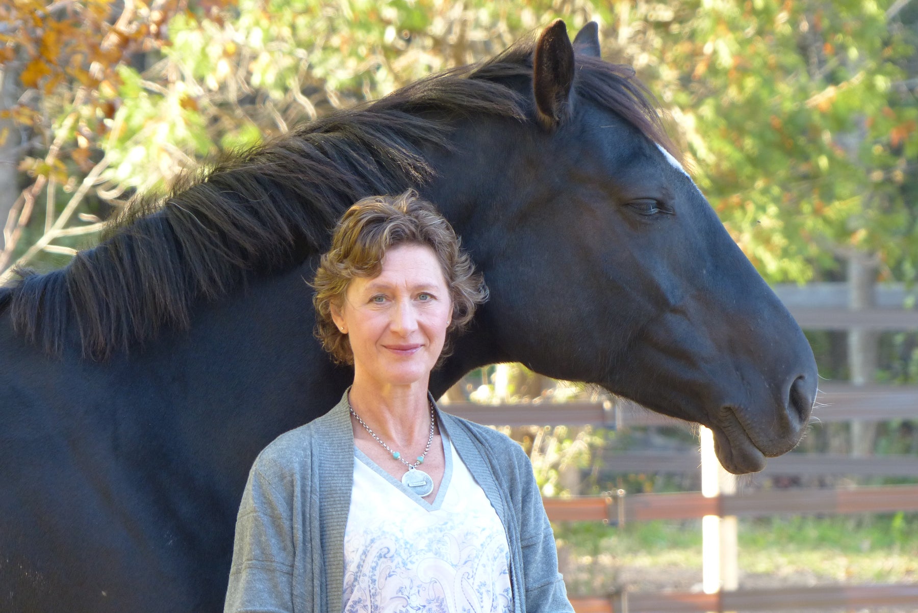 Dec 10:  A lesson from horses - Using boundaries to create presence