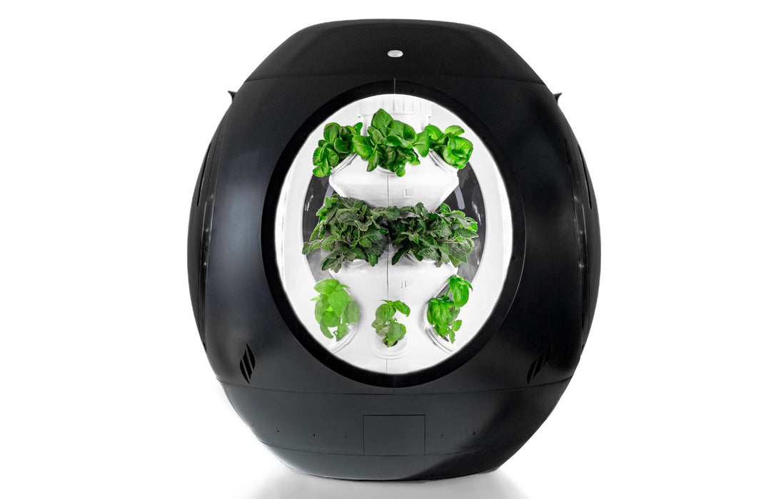 Plantaform Indoor Garden Black 1 Unit