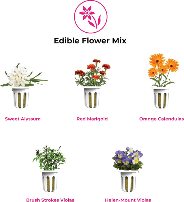 Edible Flower Mix