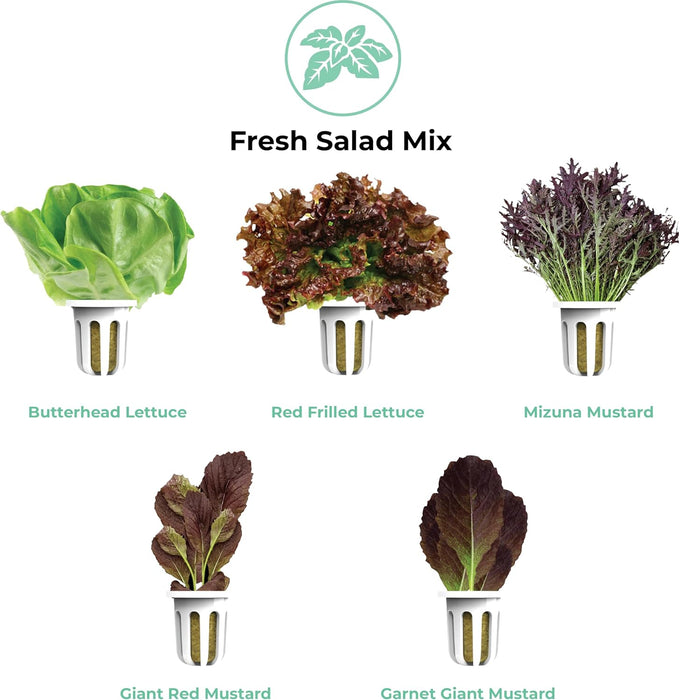 Fresh Salad Mix