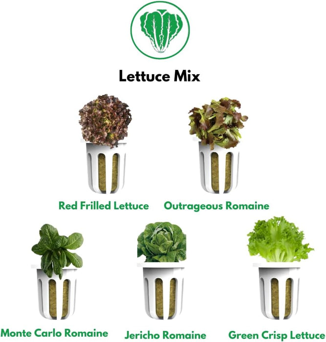 Lettuce Mix