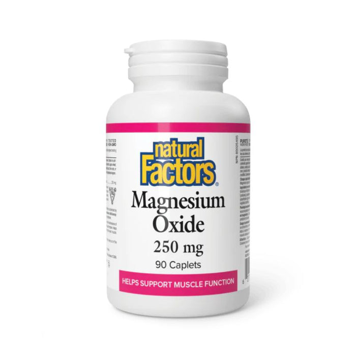 Natural Factors Magnesium Oxide 250mg 90 caps