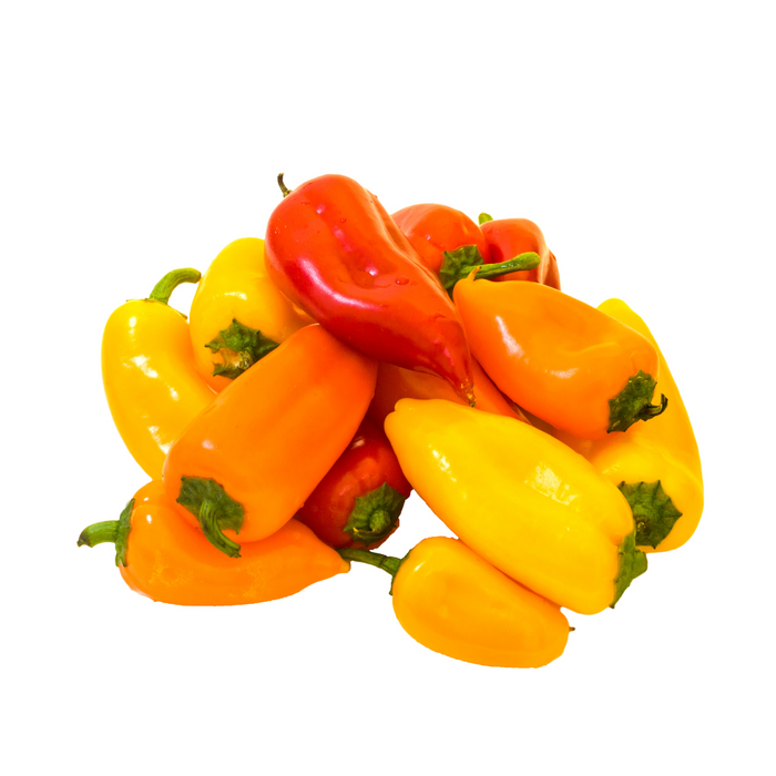 Organic Mini Sweet Peppers 454g Bagged