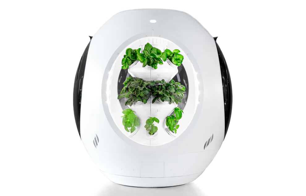 Plantaform Indoor Garden White 1 Unit