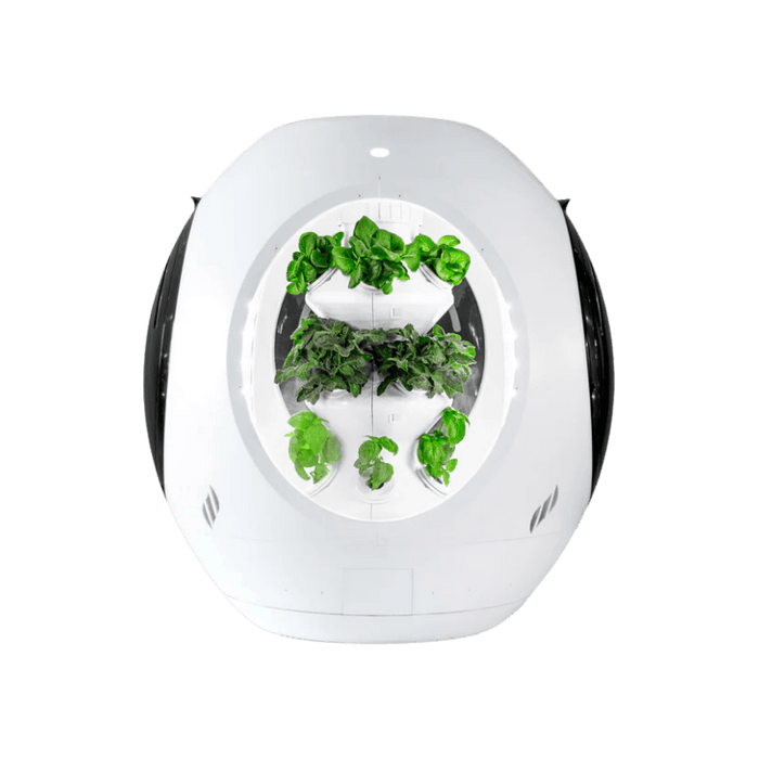 Plantaform Indoor Garden White 1 Unit