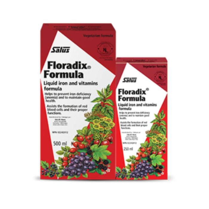 Salus Haus Floradix Bonus 500+250 ML