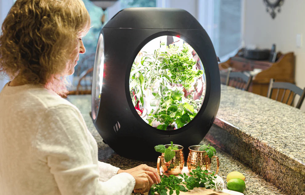 Plantaform Indoor Garden Black 1 Unit