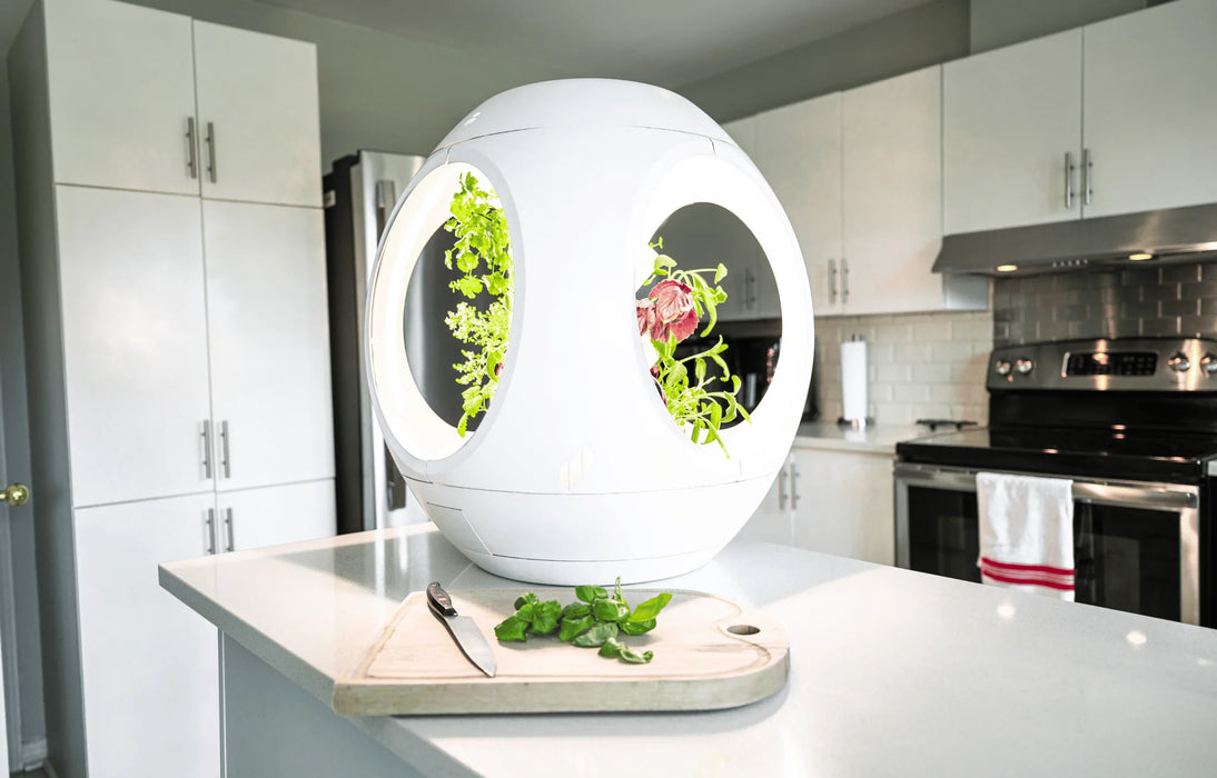 Plantaform Indoor Garden White 1 Unit