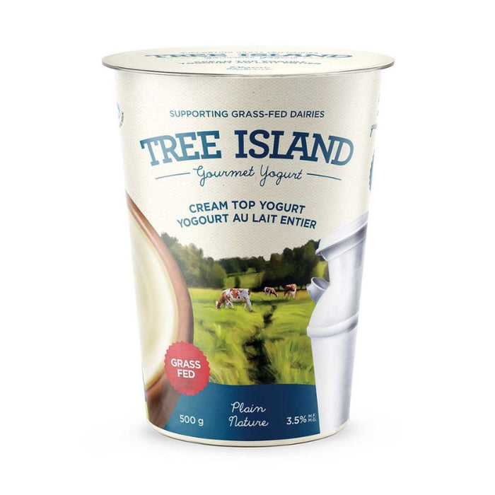 Tree Island Yogurt Cream Top Plain 500g