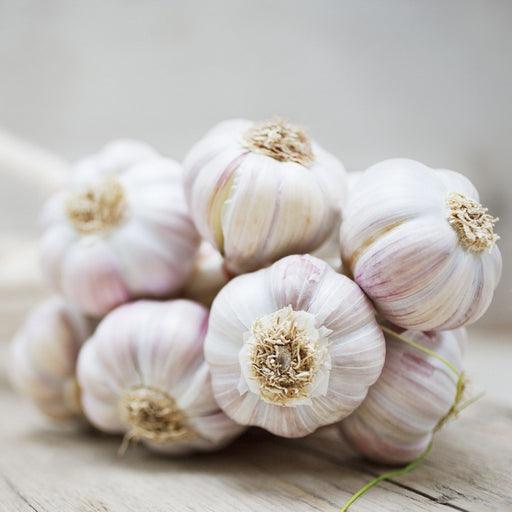 Garlic Organic 100g