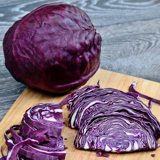 Local Organic Red Cabbage