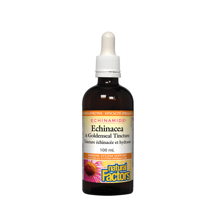 Natural Factors Echinamide Anti-Cold Echinacea Goldenseal 100ml