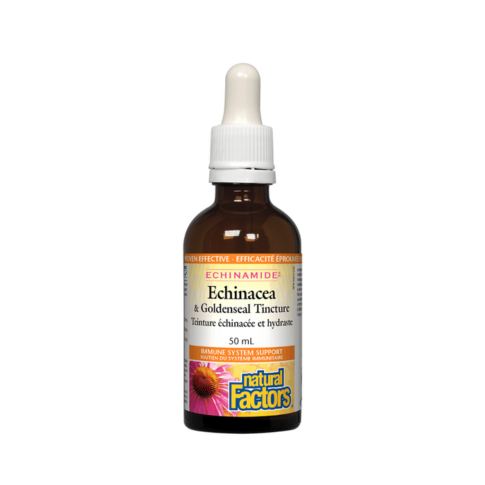 Natural Factors Echinamide Anti-Cold Echinacea Goldenseal 50ml