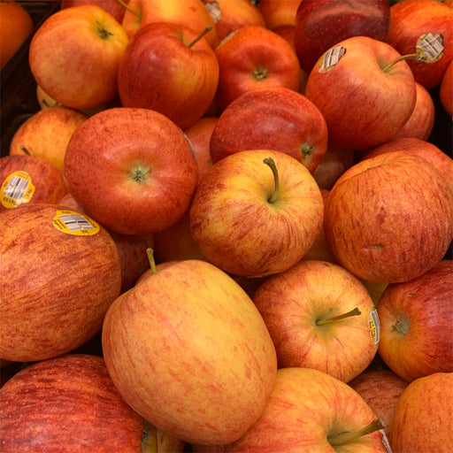 Organic Gala Apple (Individual)