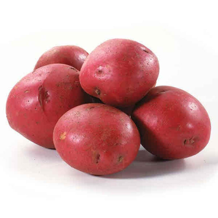 Organic Potato Red Local Quebec/Ontario 5lb