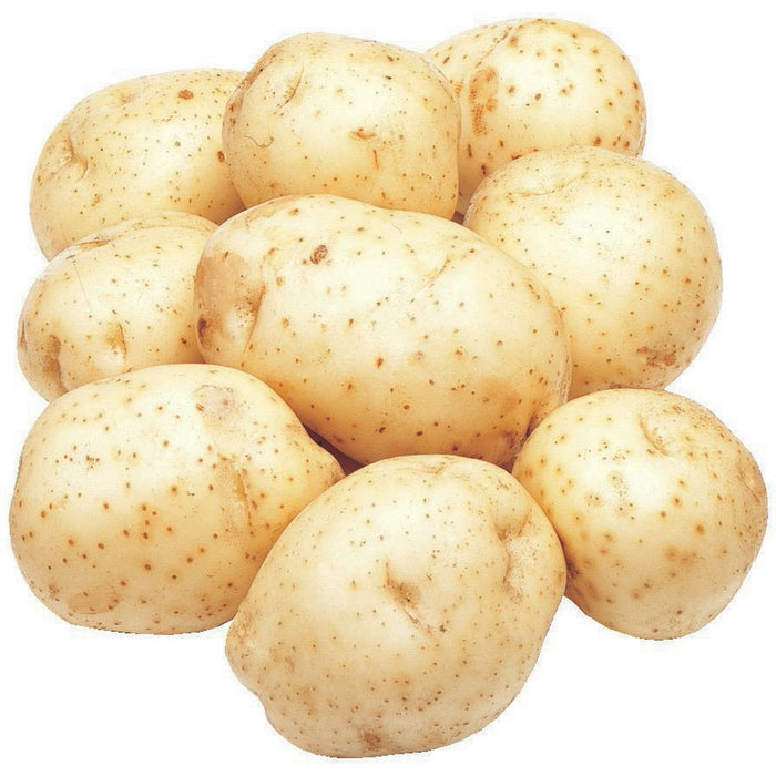 Organic Potato White Local Quebec/Ontario 5lb
